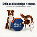 Balle géante indestructible Filou & Moustache