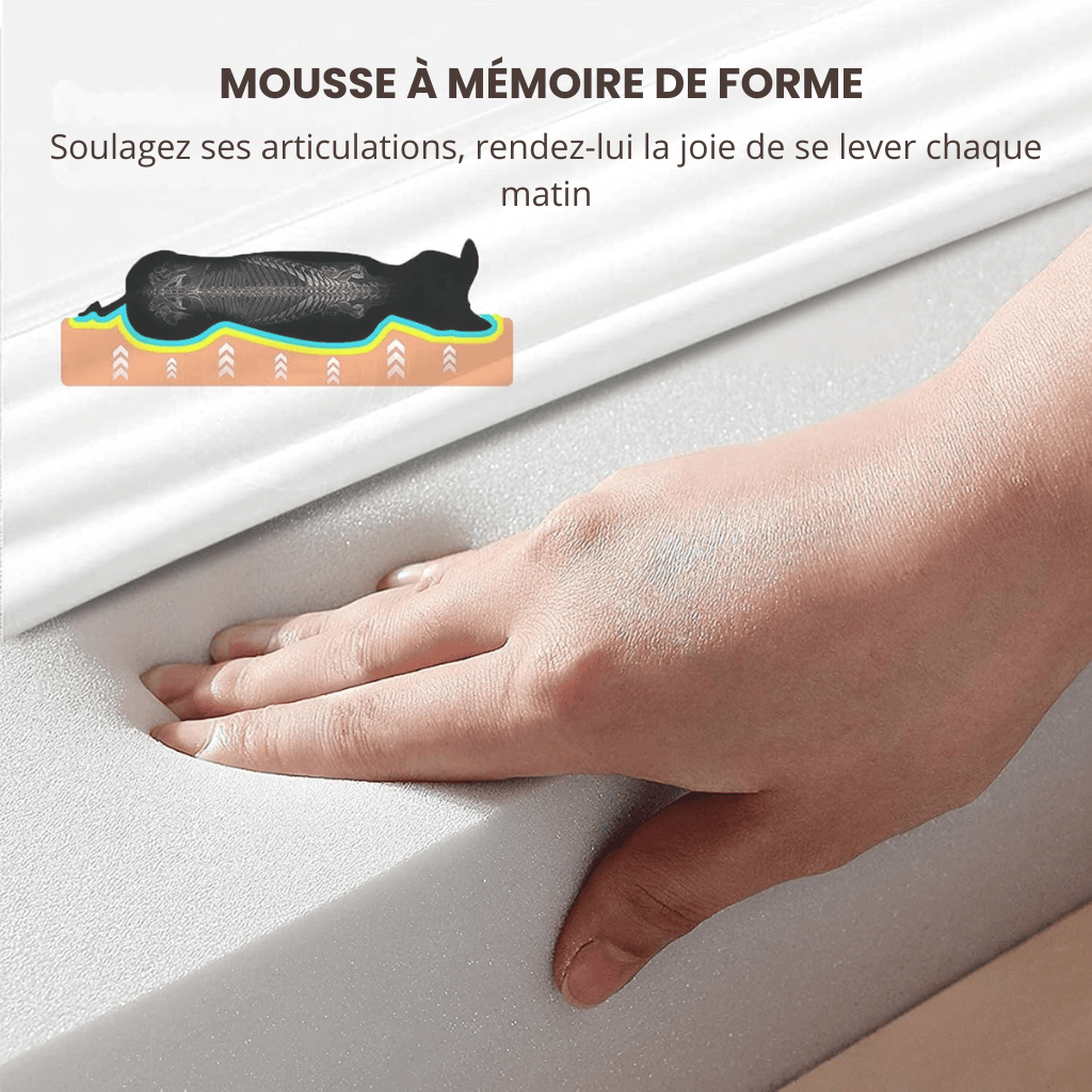 Panier pour chien orthopédique