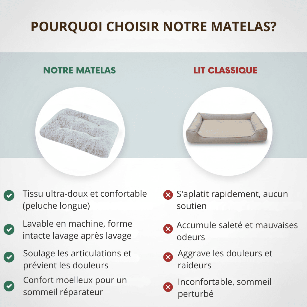 Tapis pour chien