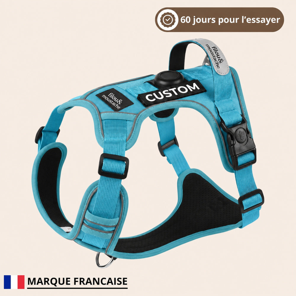 Harnais anti-traction Filou & Moustache – Bleu