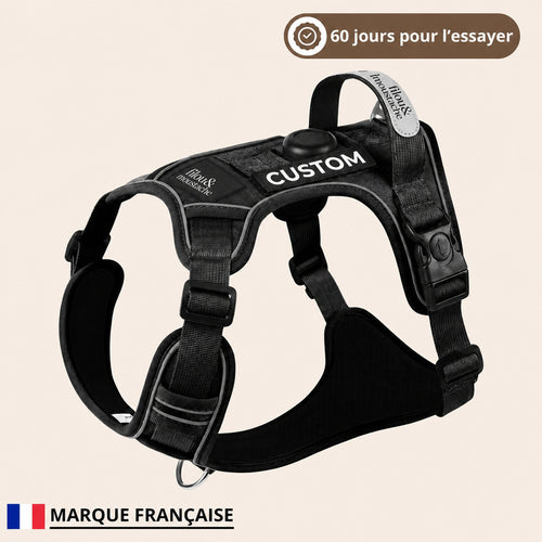 Harnais anti-traction Filou & Moustache – Noir