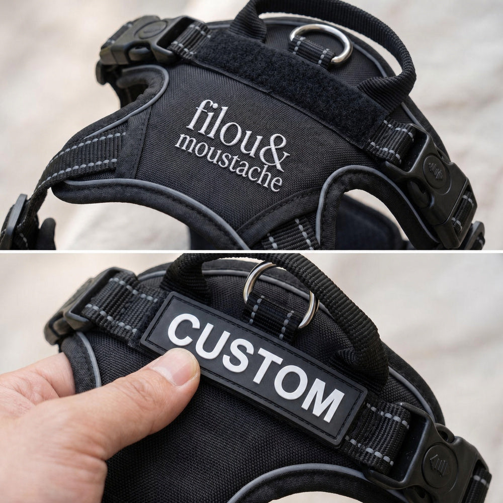 Personnalisation du harnais Filou & Moustache