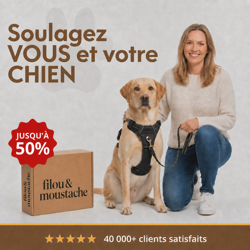 Mettez fin à la lutte quotidienne
