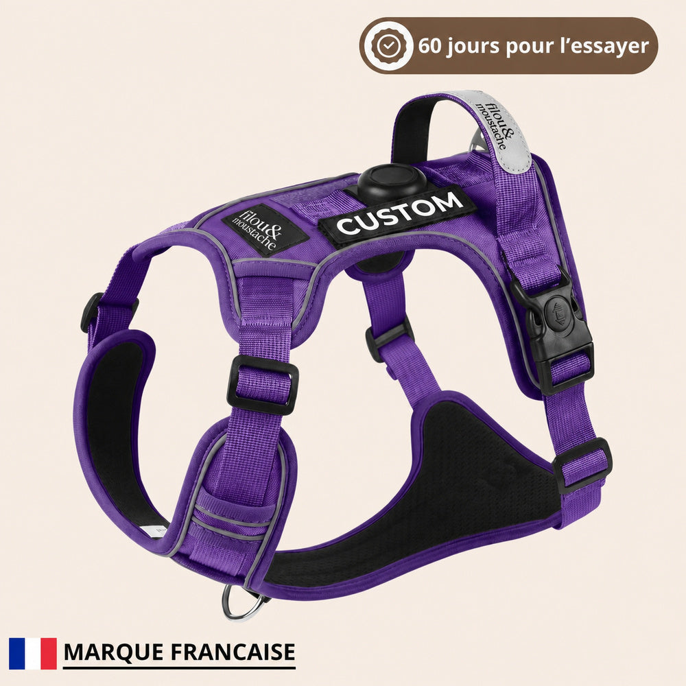 Harnais anti-traction Filou & Moustache – Violet