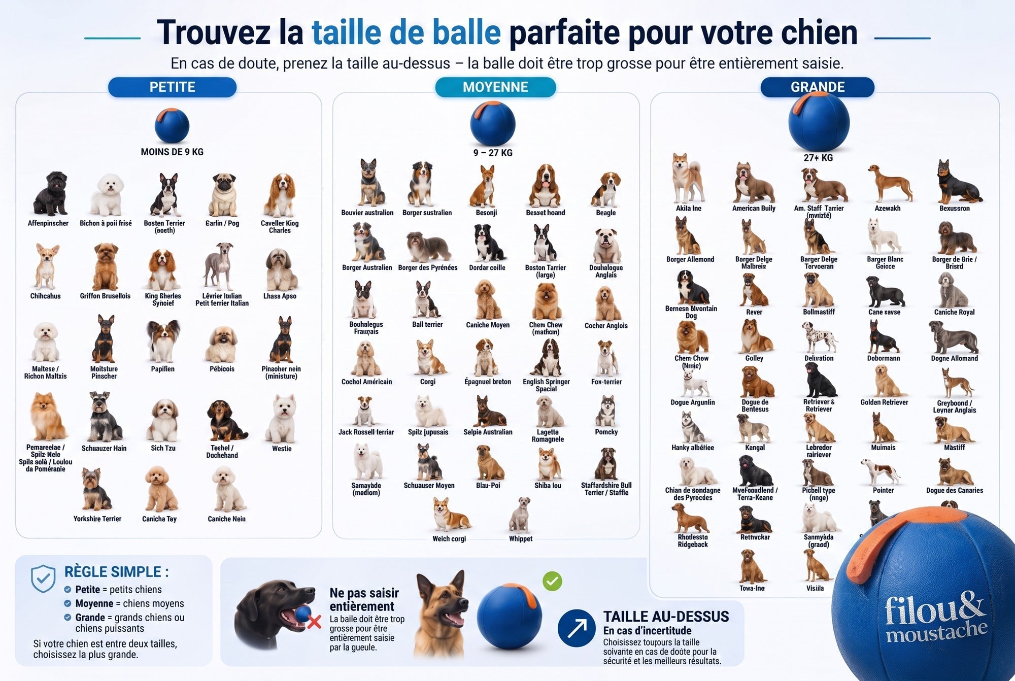 Guide des tailles Filou & Moustache par races de chiens
